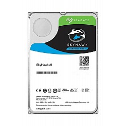 Seagate 10Tb 3.5" Skyhawk 7200Rpm 256Mb Sata 3.0 St10000Ve0008 Harddisk (Resmi Distribitör Ürünü)