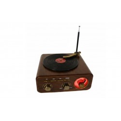 Everton RT-1317bt  Bluetooth Usb-Micro Plak Radyo