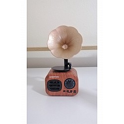 Everton Rt-705Bt Bluetooth -TfCard  Nostalji FM Radyo