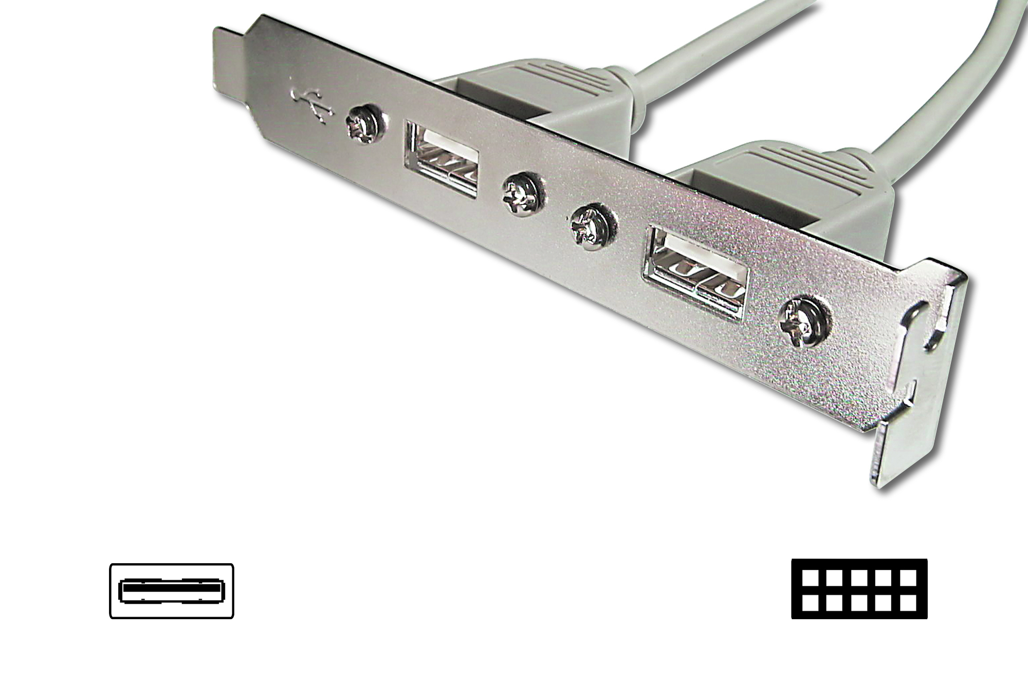 Assmann AK-300301-002-E Anakarttaki USB 2.0 Portları (Internal) Slot Brackete (External) Taşıyan Kablo