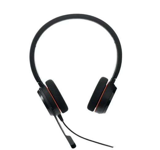 Jabra Evolve 20 Duo USB-C/A NC MS alternatif görünüm