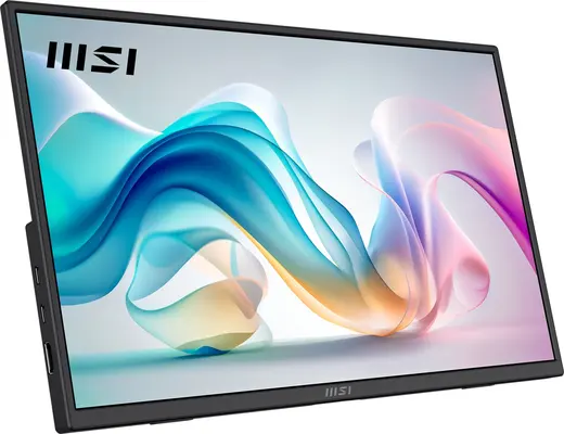 MSI 15.6" IPS PRO MP165 E6 4MS 60HZ HDMI-TYPEC Taşınabilir Monitör 1920x1080 görseli 1