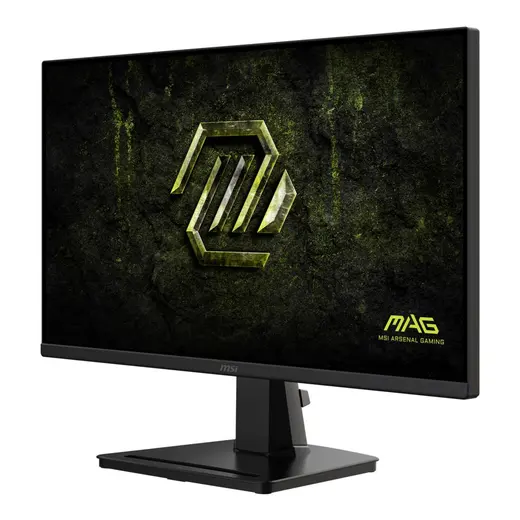 MSI 24.5" MAG 256F E20 Flat RAPID IPS 0.5ms Free-Sync Siyah FHD Monitör görseli 3
