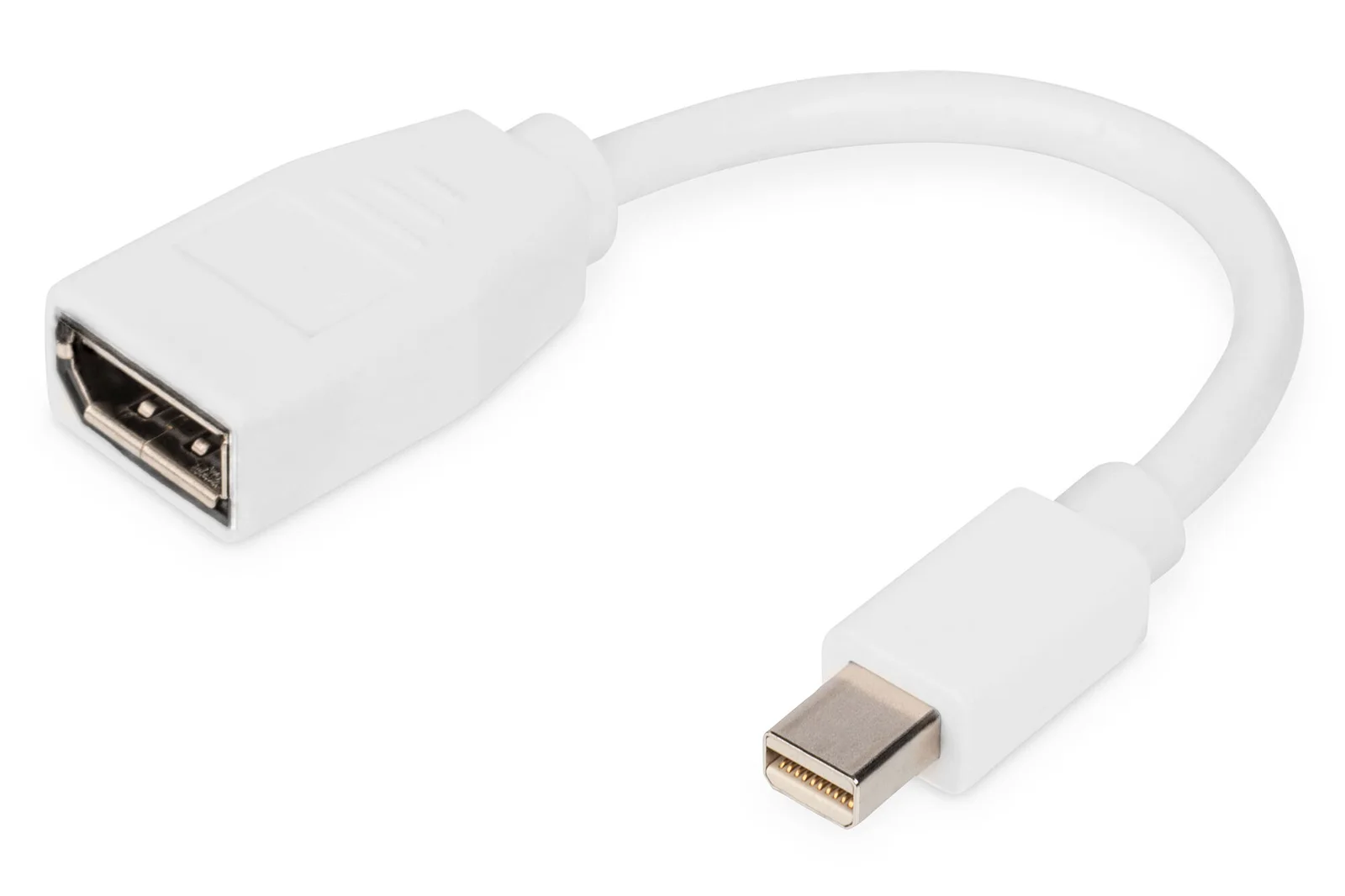 DIGITUS DB-340405-001-W DisplayPort Adaptörü, mini DP Erkek DP Dişi, 0.15 metre , DP 1.2 uyumlu