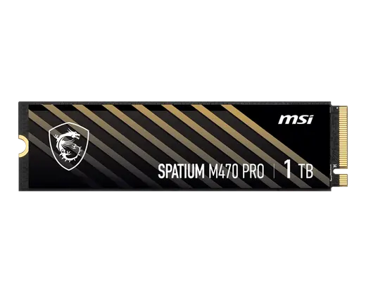 MSI SPATIUM M470 PRO 1 TB GEN4 NVME SSD 6000/4500 alternatif görünüm