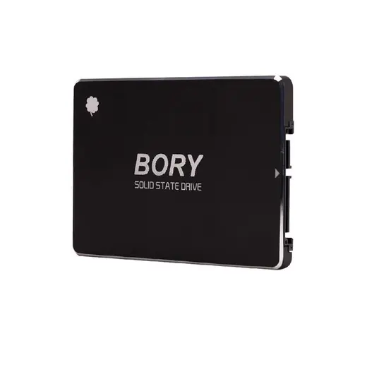 1 TB BORY SATA3 R500-C1T SSD 550/510 MBS (3 YIL GARANTİLİ) görseli 1