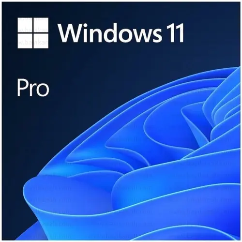MS WINDOWS 11 PRO 64BIT TURKCE OEM (FQC-10556)