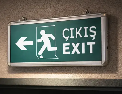 CATA CT-9170 EXIT ÇIKIŞ ARMATÜRÜ görseli 1