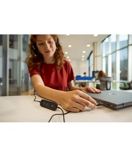 HP Poly Mission 625 USB HS WW görseli 3