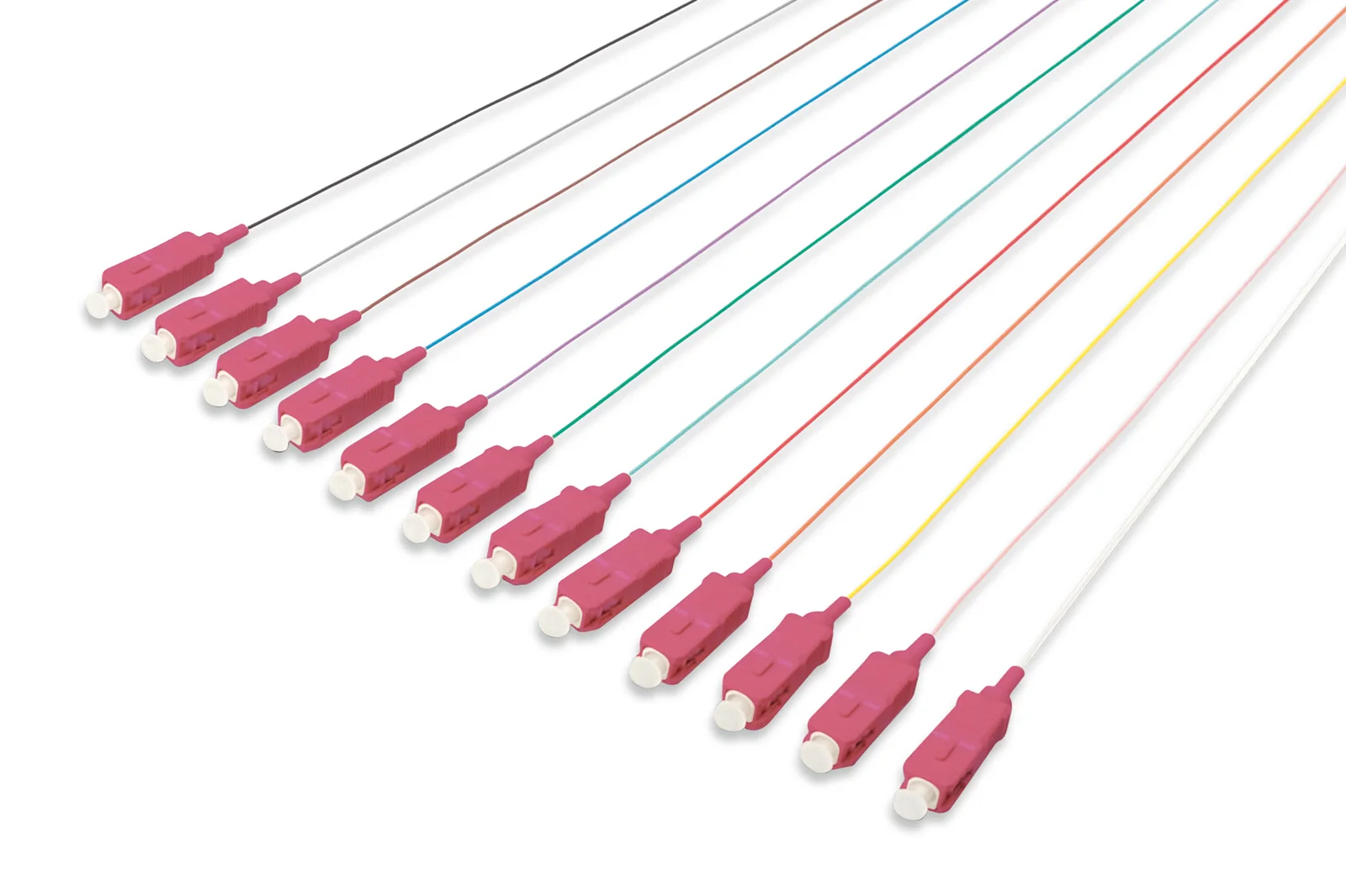 DIGITUS DK-25221-02-4 SC Fiber Optik Pigtail Seti, 12 adet, SC, MM OM4 50/125 µ loose buffer, LSOH, 2 metre