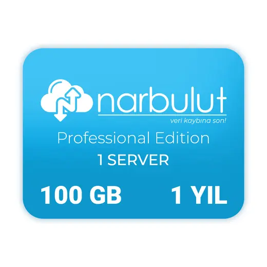 NARBULUT Backup Now Professional Edition 100GB Lisans 1yıl 1kullanıcı basic support is included. görseli 1