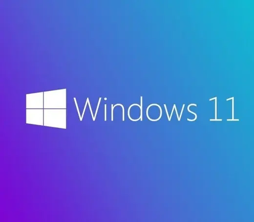 Windows 11 Pro İngilizce Oem (64 Bit) FQC-10528 alternatif görünüm
