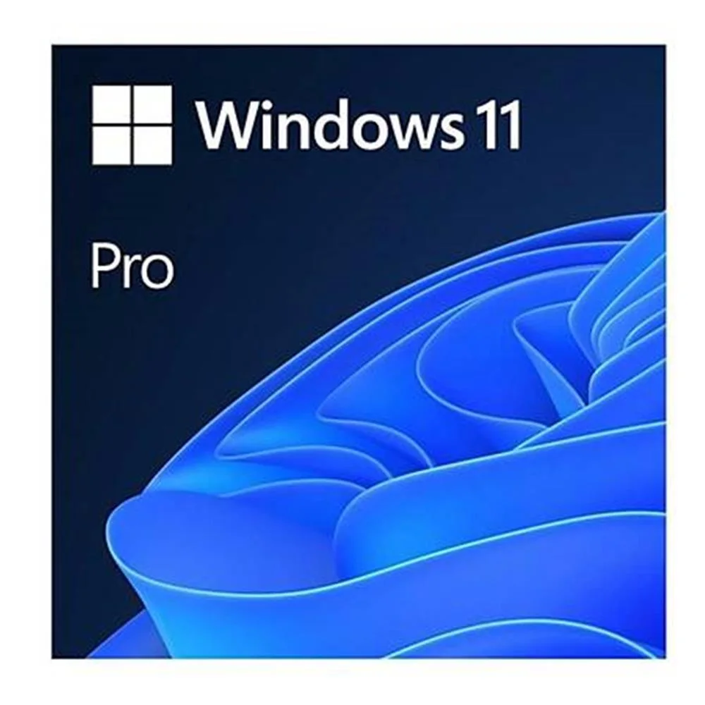 Microsoft Windows 11 Pro TR 32/64BIT (BOX) HAV-00159